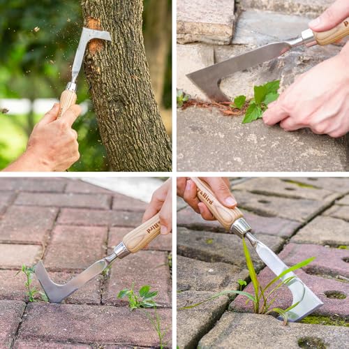 Crack Weeder Crevice Weeding Tool
