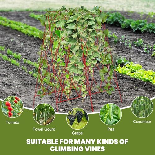 Cucumber Trellis 2 Pack (Garnet Red / 39.4" H)