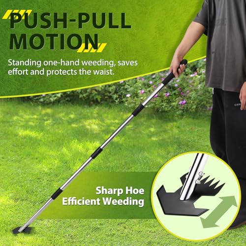 Hoe Garden Tool