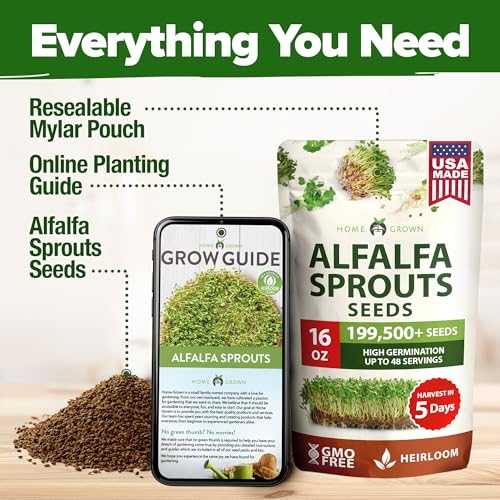 Non GMO Alfalfa Sprout Seeds 16oz Bulk Pack with Thousands of Seeds Alfalfa for Sprouting & Microgreens Indoor Outdoor Growing Resealable Bag High Germination (16 Ounce)