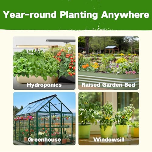 Lush&Dew Culinary Herbs Garden Seed Bank (16 Count)