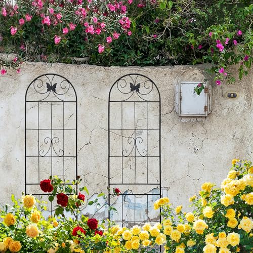 2 Pack Garden Trellises with Black Metal Coating