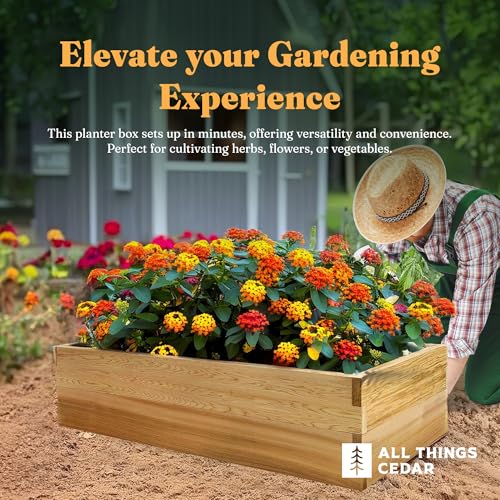 2 Tier Raised Garden Bed Planter Box (2 Tier - 4x2 Ft)