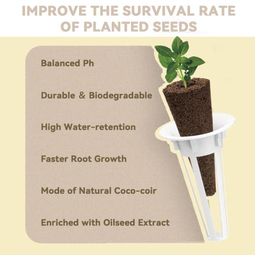 Salad Green Seed Pod Kit for AeroGarden