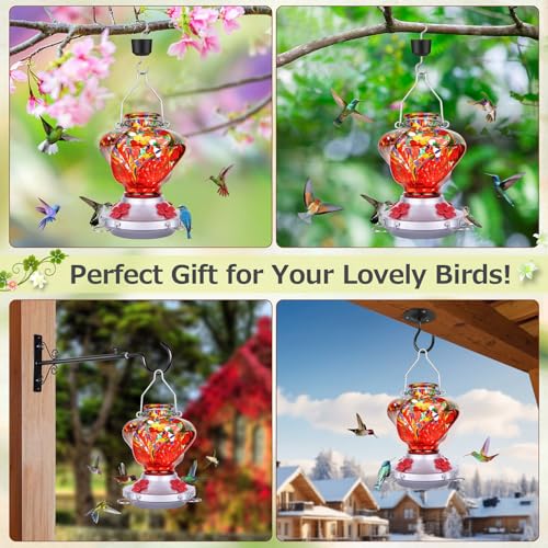 Hummingbird Feeder for Outdoors with Ant Moat