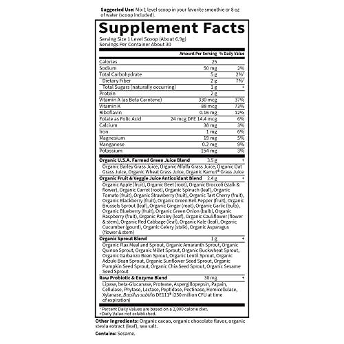 Raw Organic Perfect Food Chocolate Powder (10 Ounce)