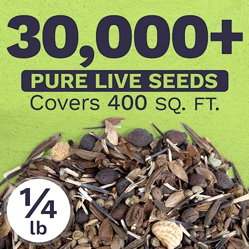 Bulk Wildflower Seeds Butterfly and Humming Bird Mix (4 Ounce)
