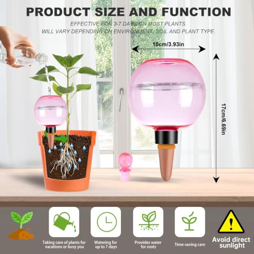 6 Pack Self Watering Globes 17oz Large Plant Watering Globes Top Fill