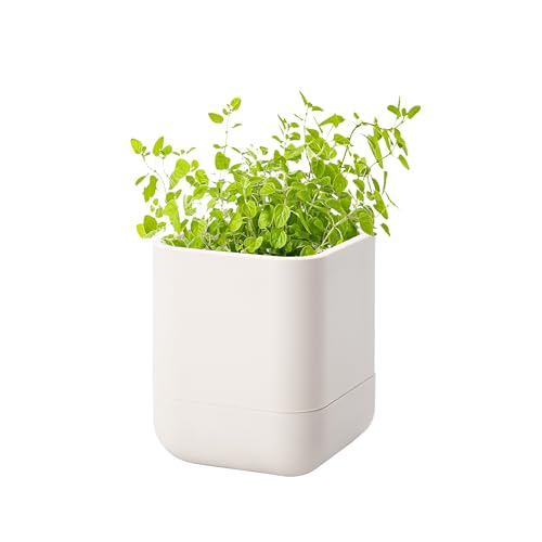 3.5 Inch Wall Mounted Self (3.5" (1 Pack) / Oatmeal)