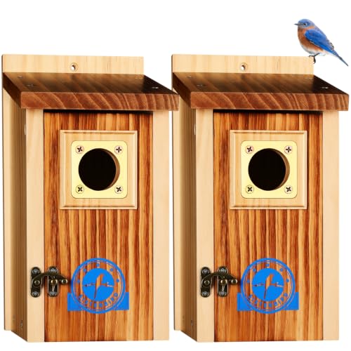 2 Pack Bluebird House