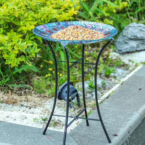 Glass Bird Bath