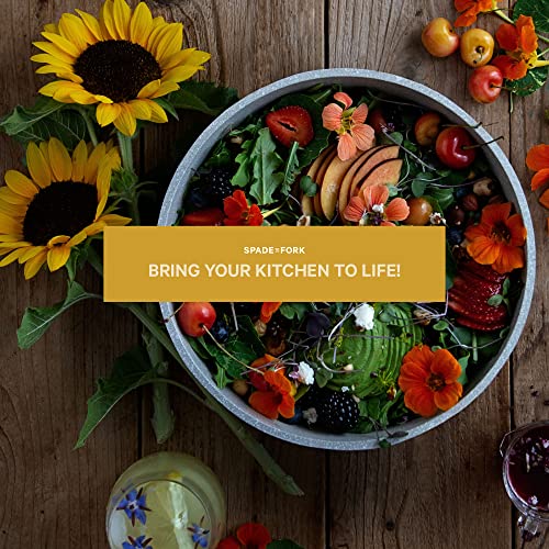 Organic Edible Flower Garden Seed Kit