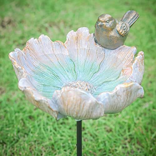 Bird Baths for Outdoor