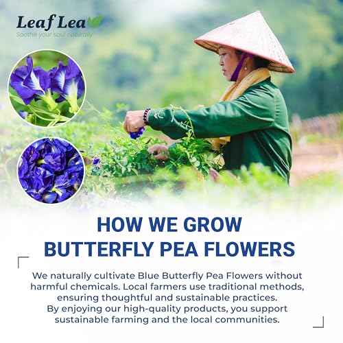 Butterfly Pea Flower Tea (40 Count)