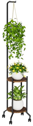 Plant Stand Indoor