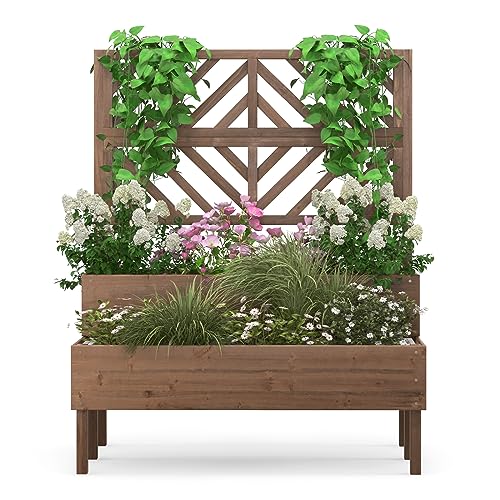 Raised Garden Bed with Trellis & 2 Planter Boxes