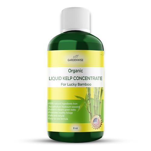Organic Premium Kelp Seaweed Fertilizer for Lucky Bamboo (8 Fl Oz)