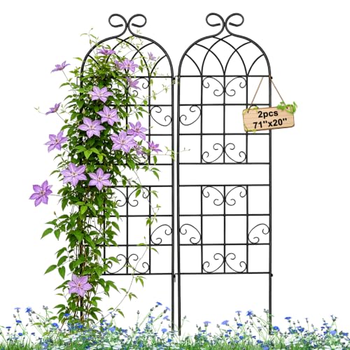 Metal Garden Trellis 71"x20" (2 Count)
