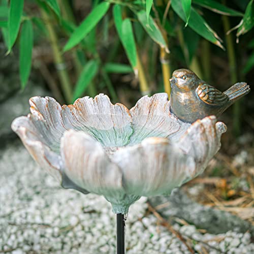 Bird Baths for Outdoor