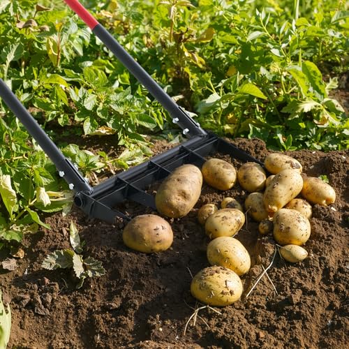 Broad Fork, 5-Tine Pitchfork with Dual Fiberglass Handles, Heavy Duty Garden Fork, Ergonomic U-Shaped Design Broadfork Hand Tiller, Gardening Tool for Composting Transplanting Aeration
