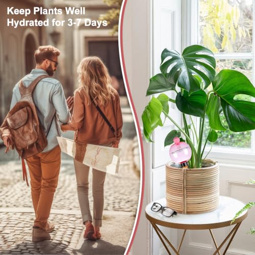 6 Pack Self Watering Globes 17oz Large Plant Watering Globes Top Fill