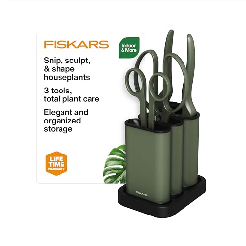 Indoor Plant Care 3