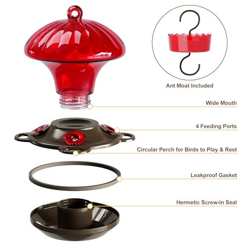 Glass Hummingbird Feeders for Outdoors Hanging