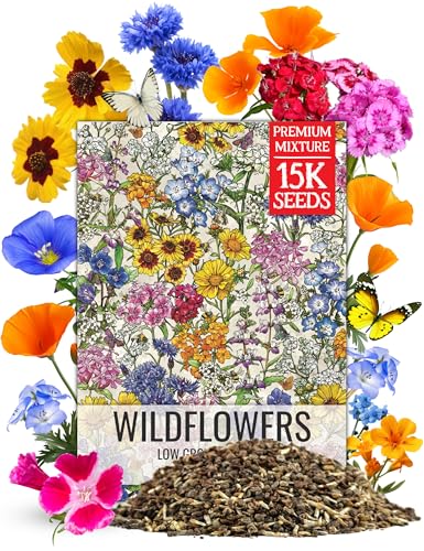 Wildflower Seeds Low Growing 1 Ounce Heirloom Bulk Pack