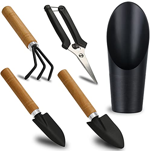 5 Pcs Succulent Tools
