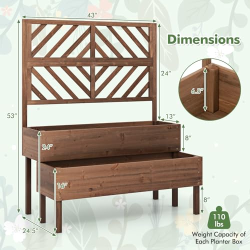 Raised Garden Bed with Trellis & 2 Planter Boxes