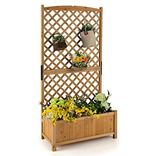 Planter Raised Bed with Trellis