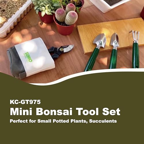 Mini Garden Tool kit