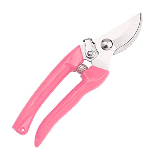 Curve Gardening Scissor with Sharp Stainless Steel Blade Garden Shears for Cutting Flowers Trimming Plants of Yard Florist Flower Rose Herb Hedge Bonsai and Fruits Picking