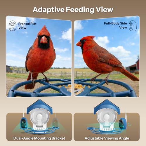 Smart Bird Feeder with Camera (52.96 Ounce)