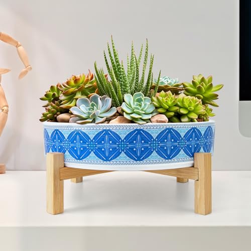 Succulent Pots (Floral 3)
