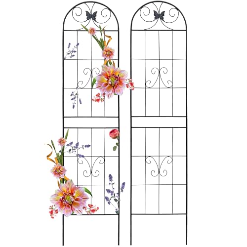 2 Pack Garden Trellises with Black Metal Coating