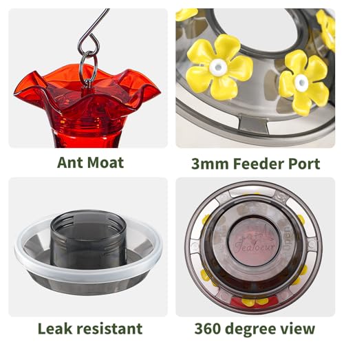 Hummingbird Feeder for Outdoors Hanging