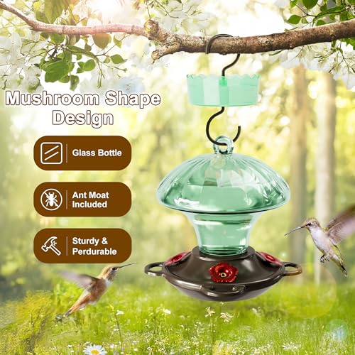 Glass Hummingbird Feeders for Outdoors Hanging