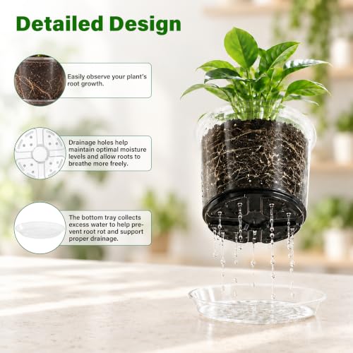 Clear Nursery Pots with Saucers (6/8/10/12 Inch-20Pcs)