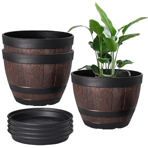 Plant Pots with Drainage Holes & Saucer (3 Count)