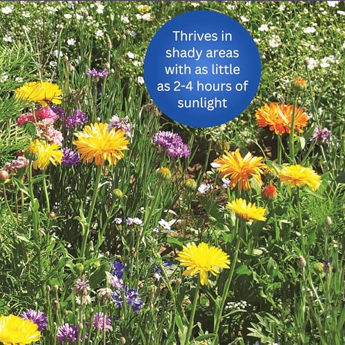 Shady Wildflower Mix (96 Ounce)