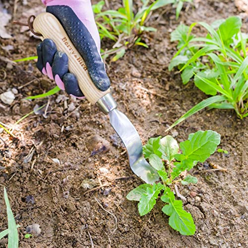 Hand Weeder Tool