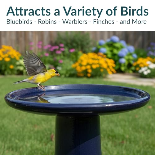 Sunnydaze Ceramic Bird Bath for Outside