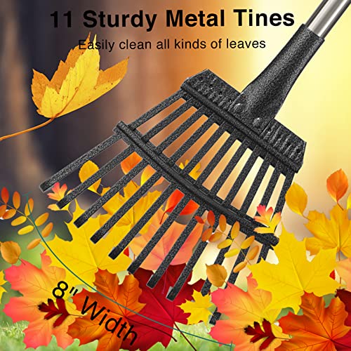 Rake for Leaves