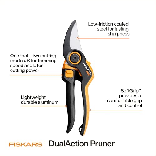 DualAction 2 in