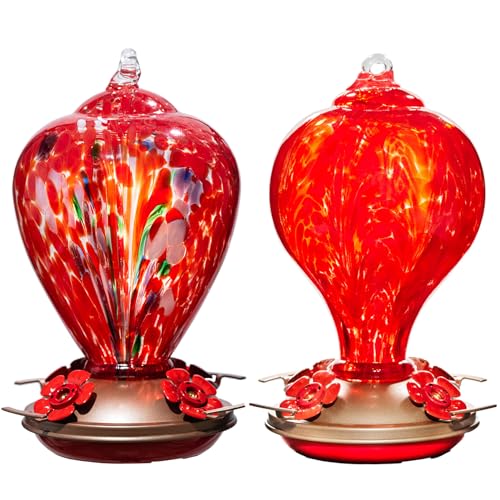 2 Packs Hummingbird Feeders for Outdoors Hanging Ant and Bee Proof
