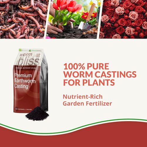 Worm Bliss 4 Qts (80 Ounce)