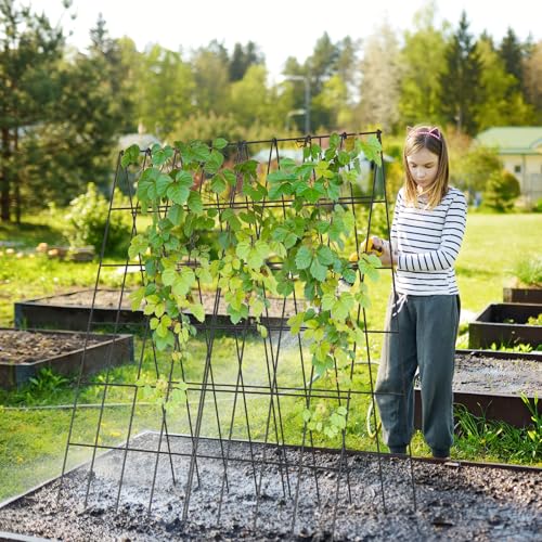 Cucumber Trellis 2 Pack (Steel Black / 39.4" H)