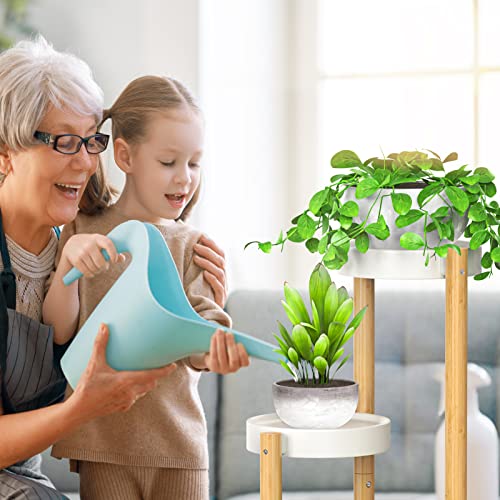 3 Tier Plant Stand Indoor