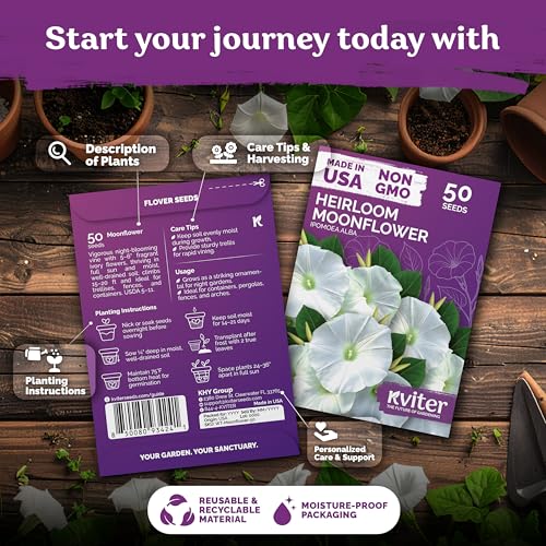 50 Moonflower Heirloom Flower Seeds for Planting